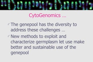 Plant Chromosomes: European Cytogeneticists outline: Trude Schwarzacher and Pat Heslop-Harrison