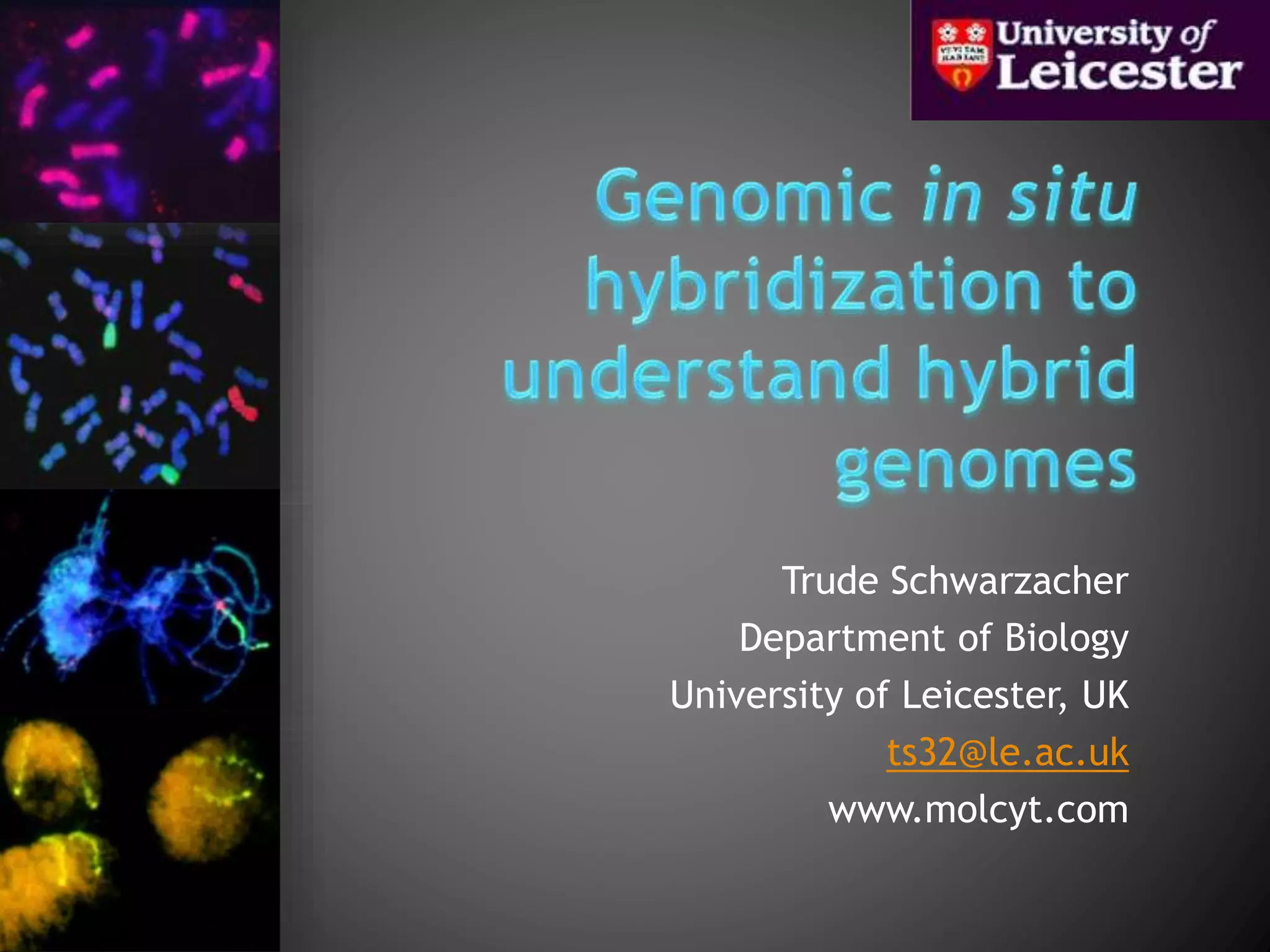 In situ hybridization results and examples for course Trude ...
