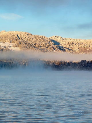 hochwinter

Winterliche Ruhe
am Schluchsee

Hochschwarzwald | Das Magazin | Winter 2013

23

 