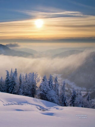 hochwinter

Winterlandschaft
am Feldberg

Hochschwarzwald | Das Magazin | Winter 2013

27

 