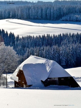 hochsportlich

6

Hochschwarzwald | Das Magazin | Winter 2013

 