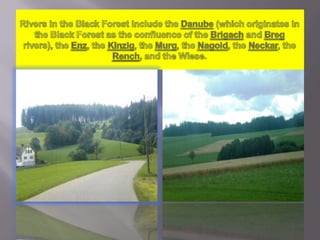 Rivers in the Black Forest include the Danube (which originates in the Black Forest as the confluence of the Brigach and Breg rivers), the Enz, the Kinzig, the Murg, the Nagold, the Neckar, the Rench, and the Wiese.