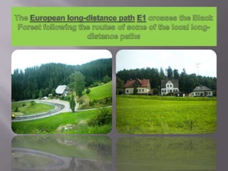 The European long-distance pathE1 crosses the Black Forest following the routes of some of the local long-distance paths