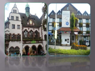 Schwarzwald 1