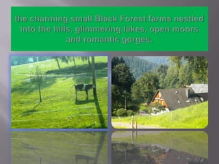 the charming small Black Forest farms nestled into the hills, glimmering lakes, open moors and romantic gorges. 