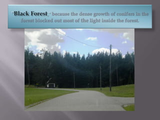 "Black Forest," because the dense growth of conifers in the forest blocked out most of the light inside the forest.