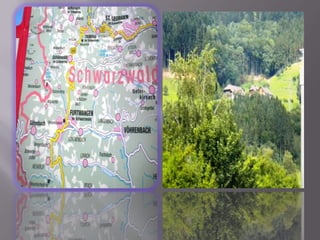 Schwarzwald 1
