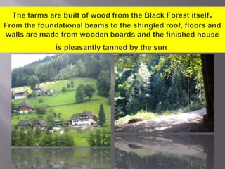 The farms are built of wood from the Black Forest itself. From the foundational beams to the shingled roof, floors and walls are made from wooden boards and the finished house is pleasantly tanned by the sun.