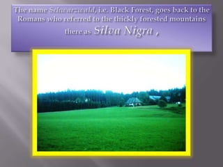 The name Schwarzwald, i.e. Black Forest, goes back to the Romans who referred to the thickly forested mountains there asSilva Nigra ,