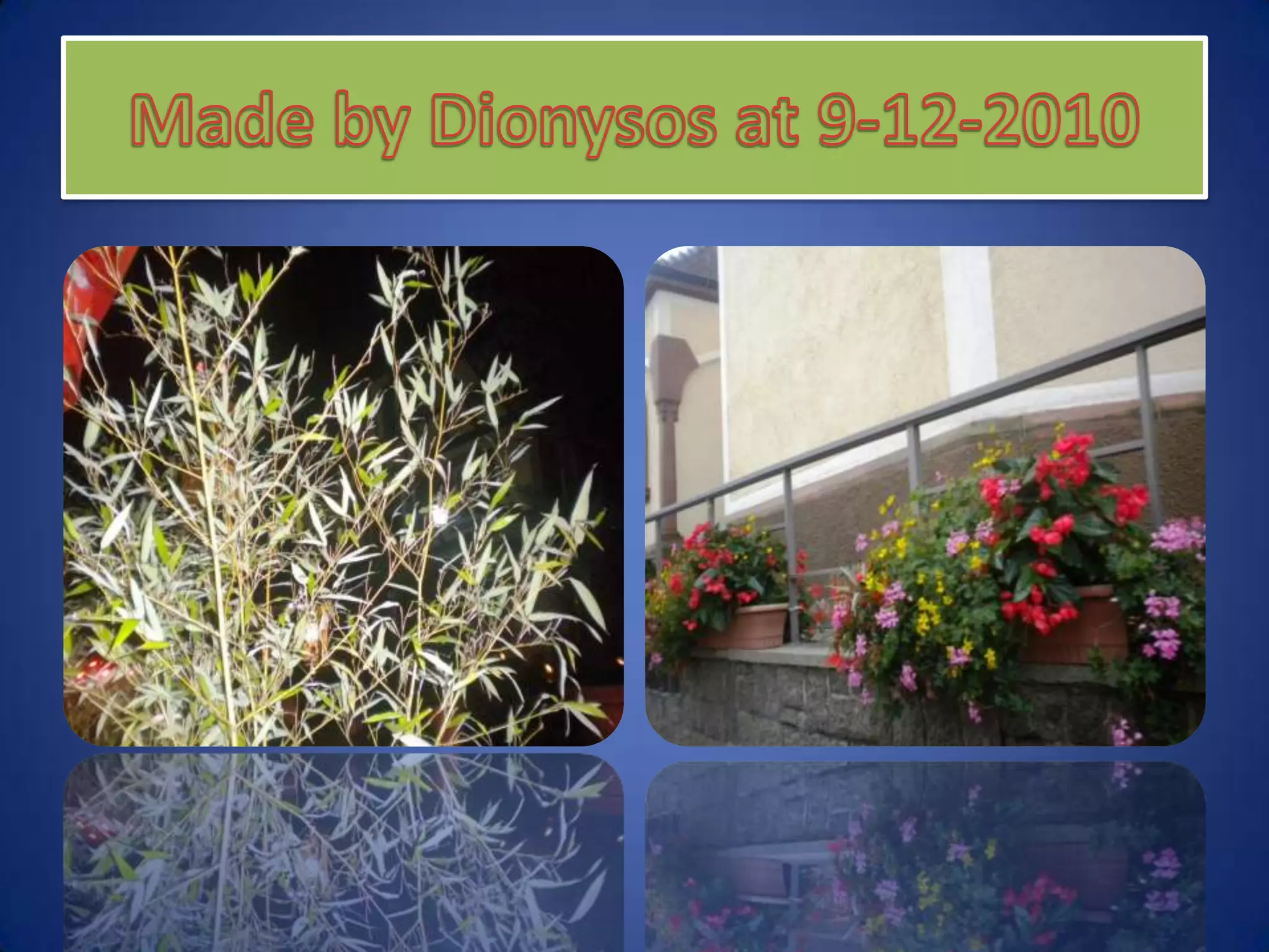 Made by Dionysos at 9-12-2010