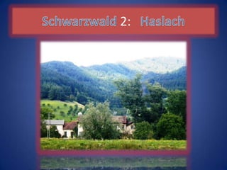 Schwarzwald 2:   Haslach 