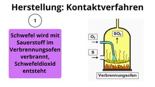 grüner rasen dünger Rasendünger 10 kg – Purgrün main image 1