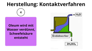 wein dngen ProviPlant Weinreben-Dnger: Fr alle Weinrebengewchse (Vitaceae)