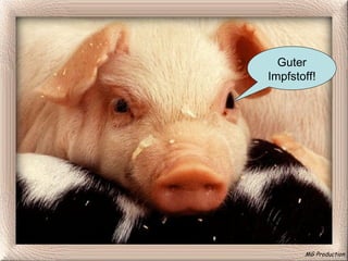 MG Production Guter Impfstoff! 