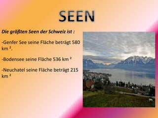 Die größten Seen der Schweiz ist :
-Genfer See seine Fläche beträgt 580
km ².
-Bodensee seine Fläche 536 km ²
-Neuchatel seine Fläche beträgt 215
km ²
 