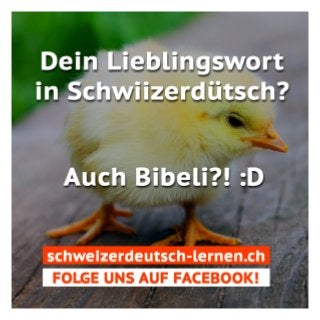 Schweizerdeutsch lernen-online — www.schweizerdeutsch-lernen.ch