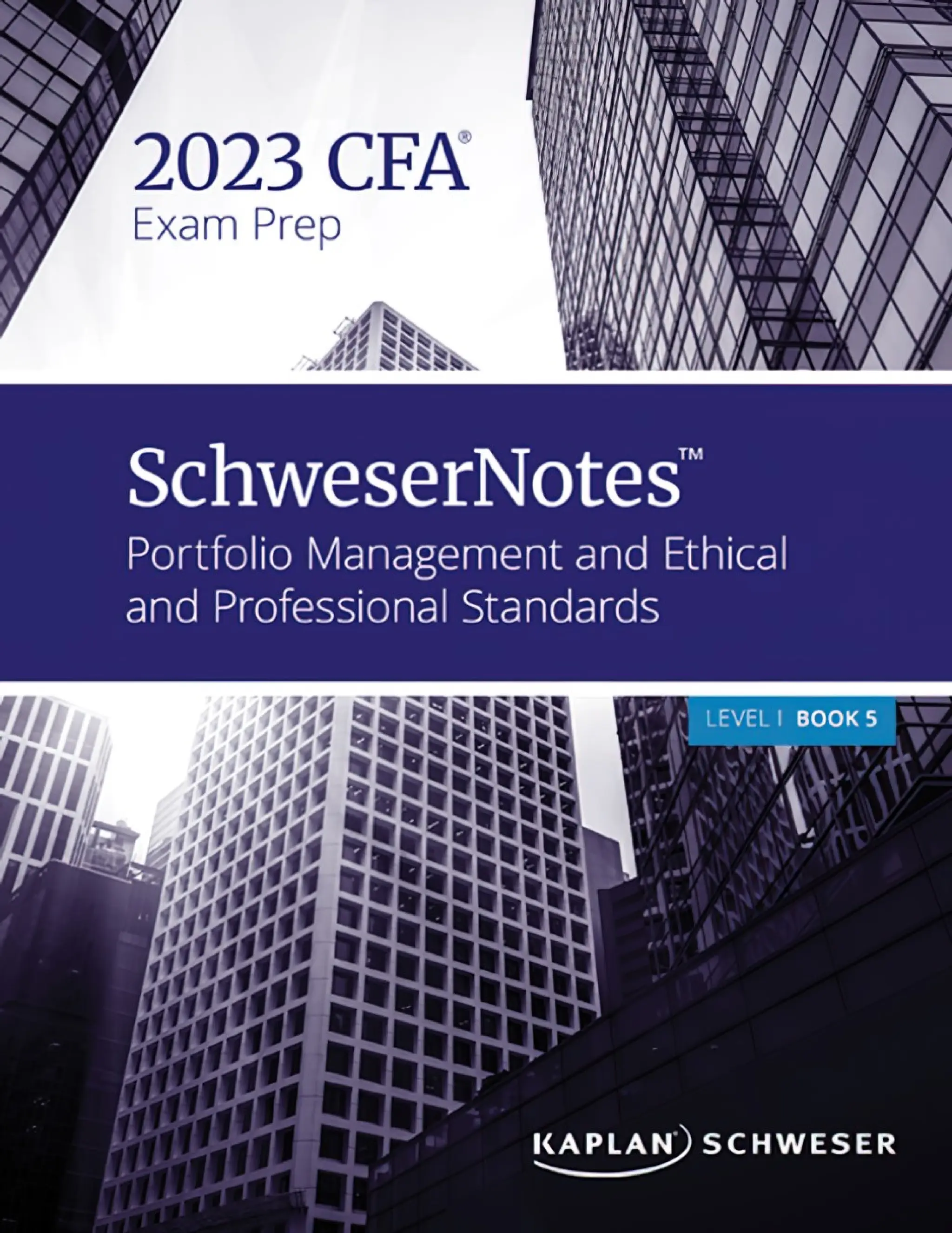 Schweser Notes Book 5 2023 Level 1 NOTES | PDF