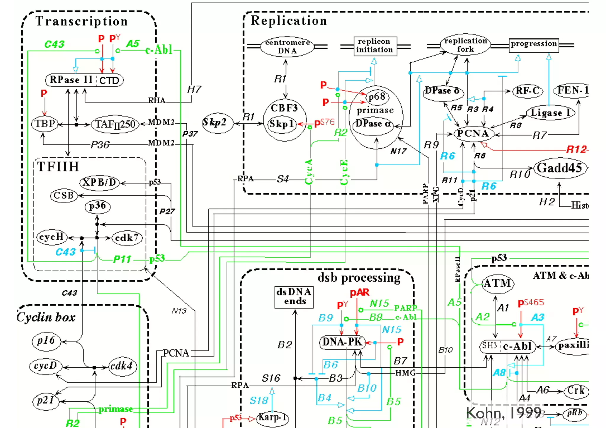 Phenotype
Adapted	
  from	
  E.	
  Zerhouni’s	
  talkKohn, 1999
 