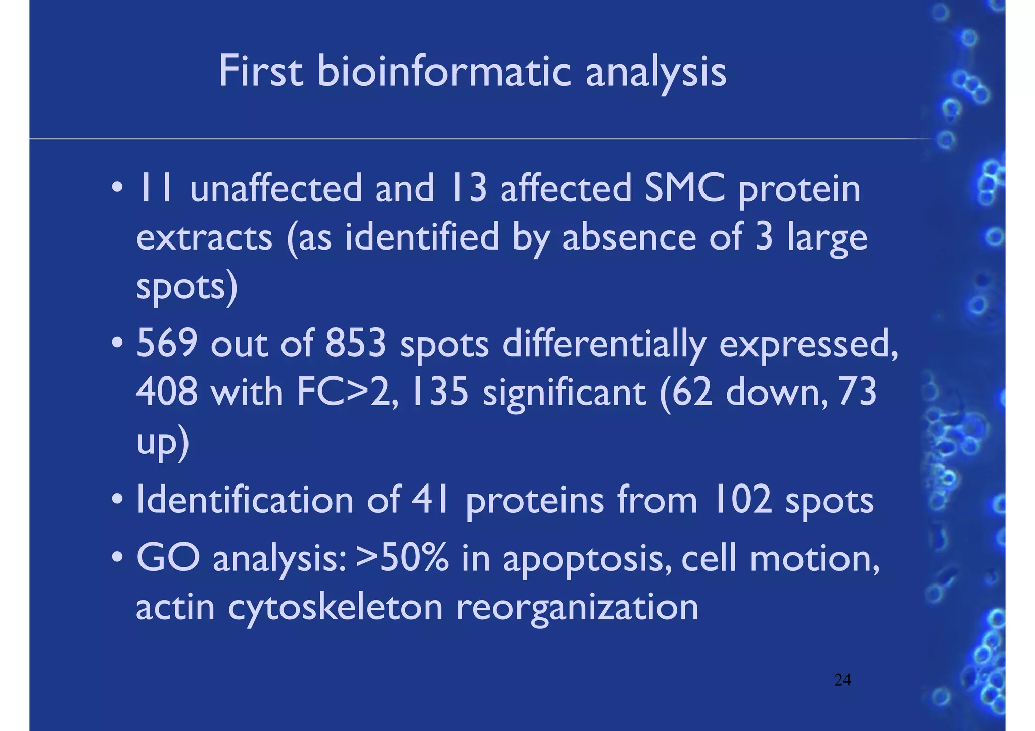 First bioinformatic analysis
• 11 unaffected and 13 affected SMC protein
extracts (as identified by absence of 3 large
spots)
• 569 out of 853 spots differentially expressed,
408 with FC>2, 135 significant (62 down, 73
up)
• Identification of 41 proteins from 102 spots
• GO analysis: >50% in apoptosis, cell motion,
actin cytoskeleton reorganization
24
 