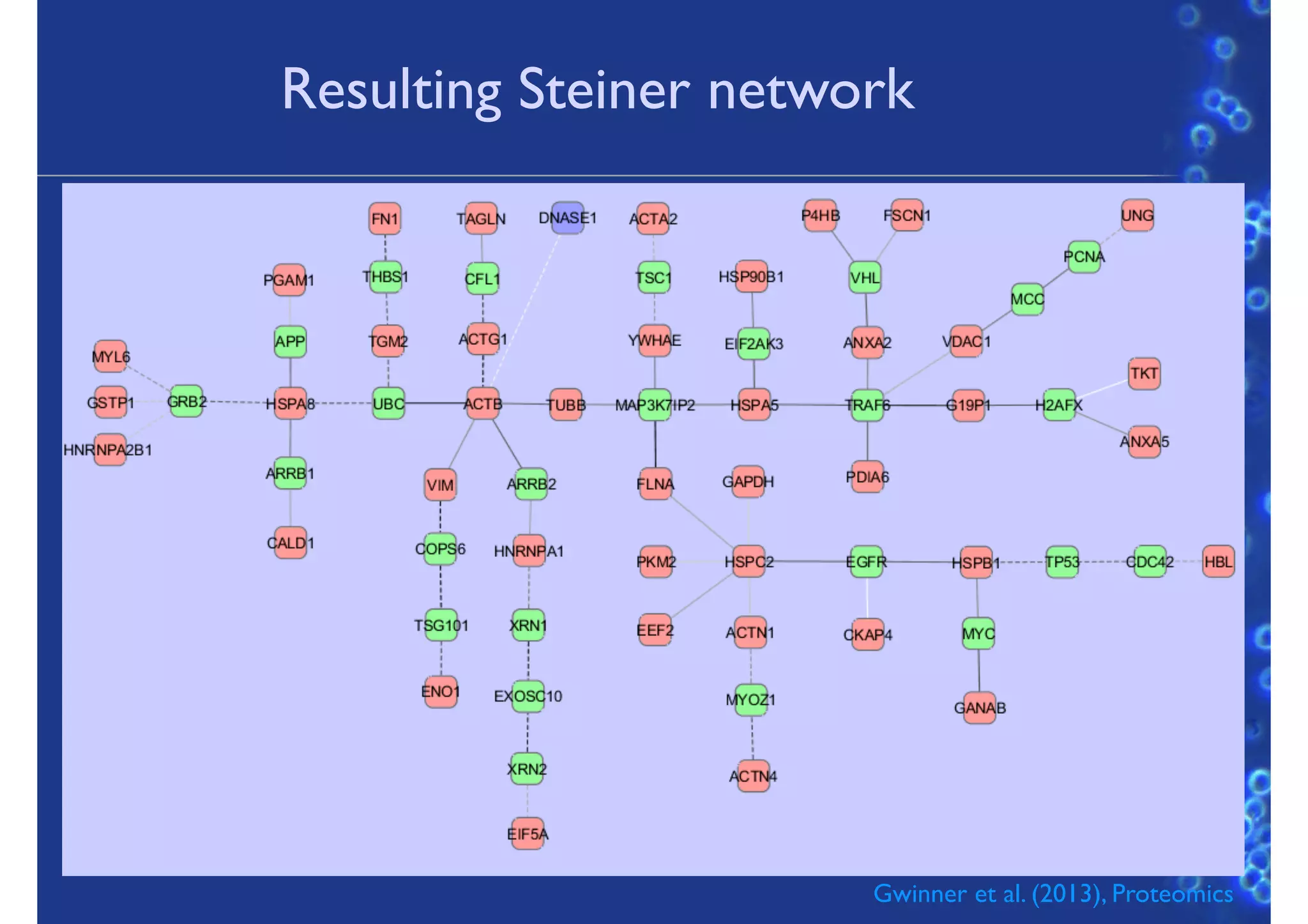 Resulting Steiner network
28
Gwinner et al. (2013), Proteomics
 