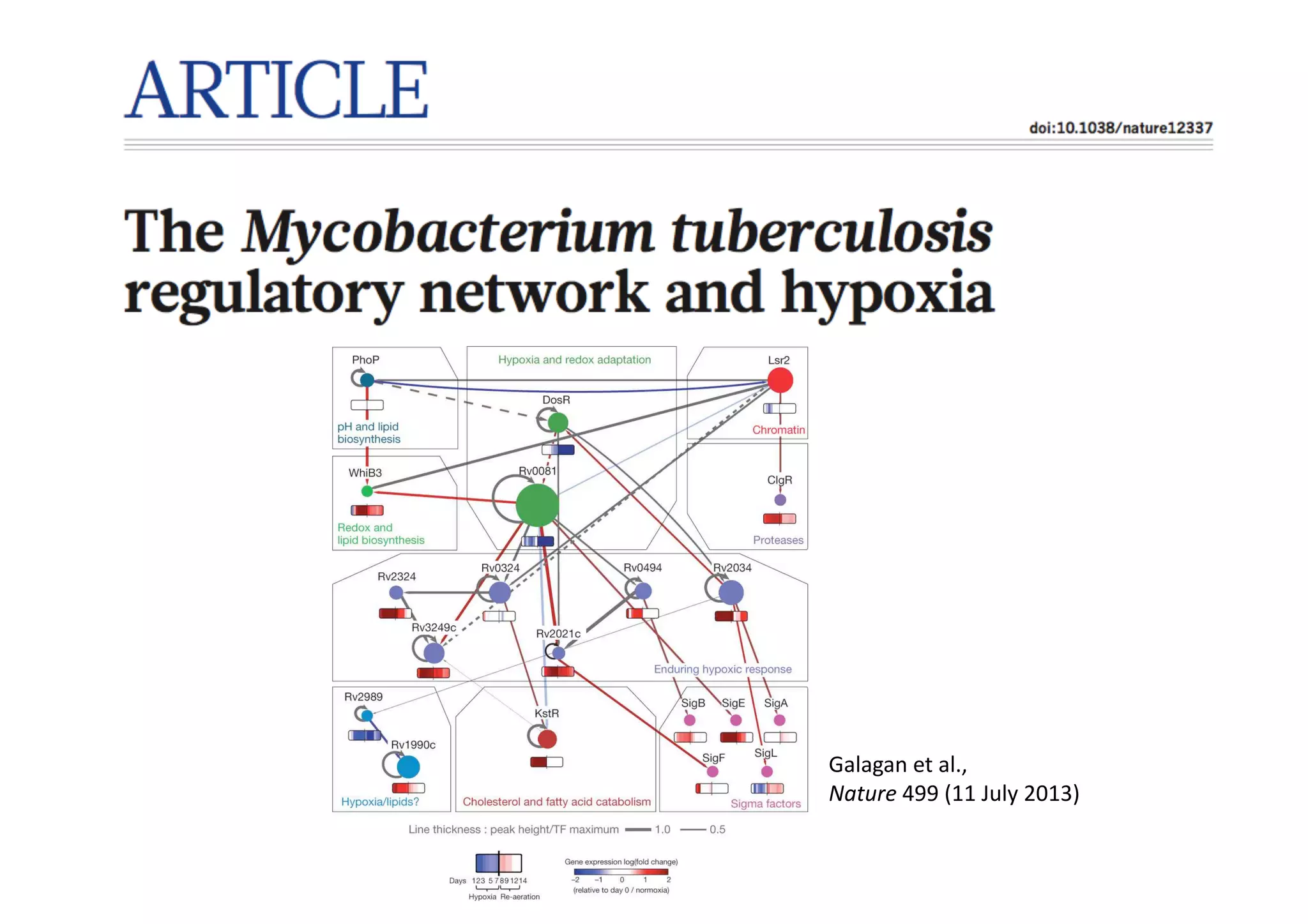 Galagan	
  et	
  al.,
Nature	
  499	
  (11	
  July	
  2013)
 