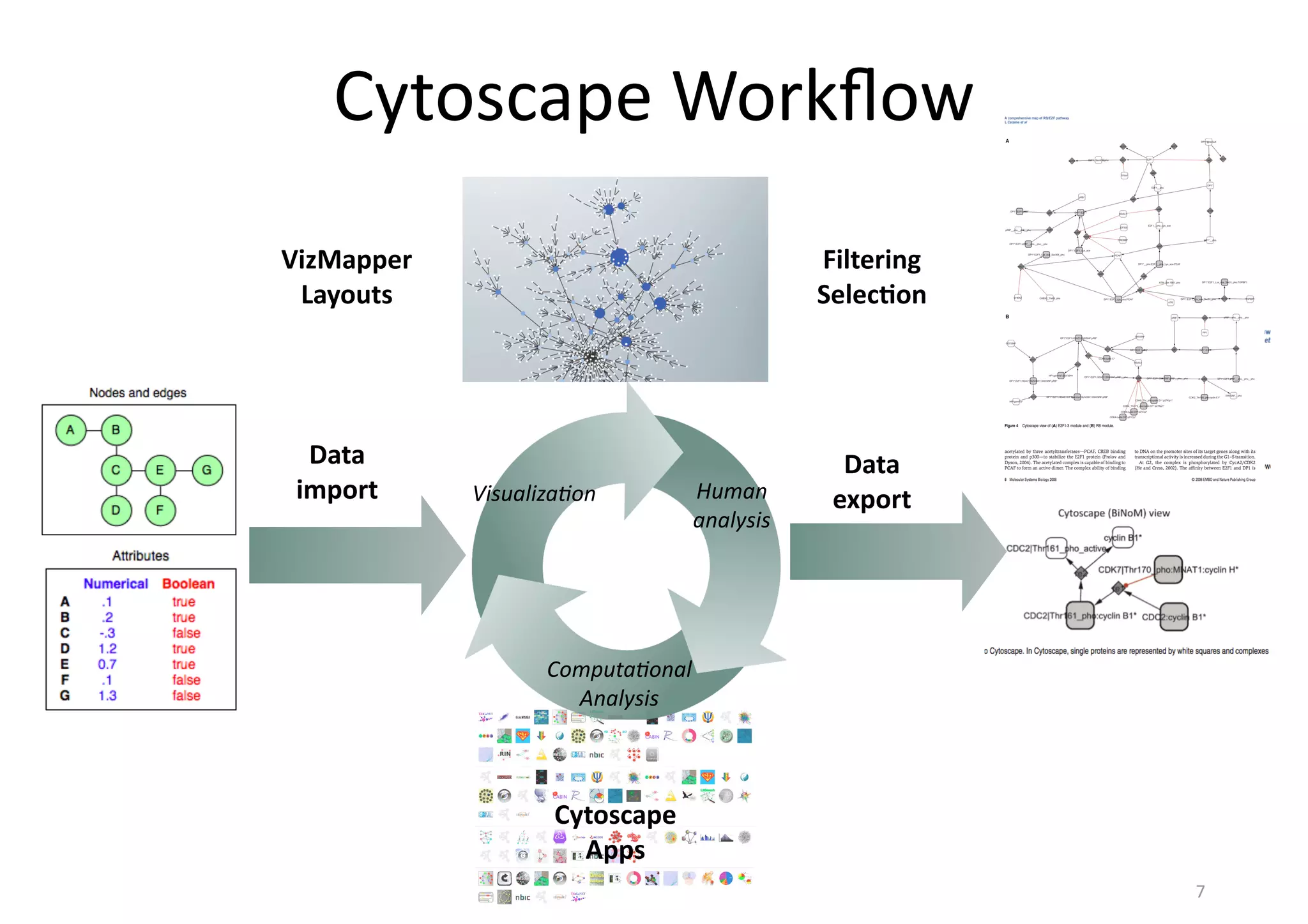 Show	
  the	
  
results
7
VizMapper
Layouts
Cytoscape	
  
Apps
Visualiza3on
Computa3onal
Analysis
Human
analysis
Filtering
Selec(on
Data
import
Data
export
Cytoscape	
  Workﬂow
 