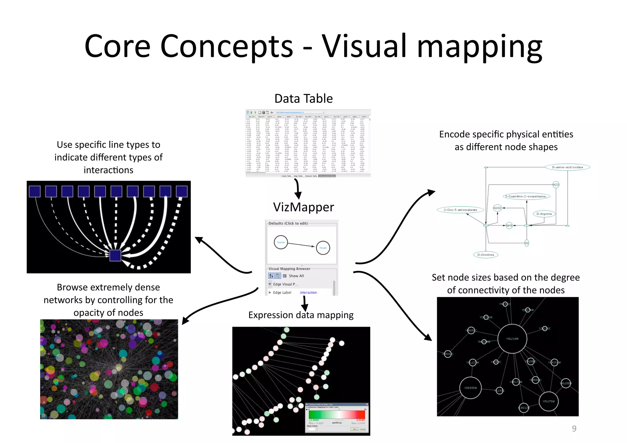 VizMapper
Core	
  Concepts	
  -­‐	
  Visual	
  mapping
9
Use	
  speciﬁc	
  line	
  types	
  to	
  
indicate	
  diﬀerent	
  types	
  of	
  
interac(ons
Browse	
  extremely	
  dense	
  
networks	
  by	
  controlling	
  for	
  the	
  
opacity	
  of	
  nodes Expression	
  data	
  mapping
Set	
  node	
  sizes	
  based	
  on	
  the	
  degree	
  
of	
  connec(vity	
  of	
  the	
  nodes
Encode	
  speciﬁc	
  physical	
  en((es	
  
as	
  diﬀerent	
  node	
  shapes
Data	
  Table
 