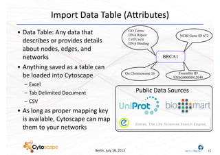 Berlin,	
  July	
  18,	
  2013
Import	
  Data	
  Table	
  (A[ributes)
• Data	
  Table:	
  Any	
  data	
  that	
  
describes	
  or	
  provides	
  details	
  
about	
  nodes,	
  edges,	
  and	
  
networks
• Anything	
  saved	
  as	
  a	
  table	
  can	
  
be	
  loaded	
  into	
  Cytoscape
– Excel
– Tab	
  Delimited	
  Document
– CSV
• As	
  long	
  as	
  proper	
  mapping	
  key	
  
is	
  available,	
  Cytoscape	
  can	
  map	
  
them	
  to	
  your	
  networks
12
BRCA1
GO Terms:
DNA Repair
Cell Cycle
DNA Binding
NCBI Gene ID 672
On Chromosome 16 Ensemble ID
ENSG00000012048
Public	
  Data	
  Sources
 