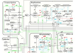 Phenotype
Adapted	
  from	
  E.	
  Zerhouni’s	
  talkKohn, 1999
 