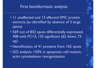 First bioinformatic analysis
• 11 unaffected and 13 affected SMC protein
extracts (as identified by absence of 3 large
spots)
• 569 out of 853 spots differentially expressed,
408 with FC>2, 135 significant (62 down, 73
up)
• Identification of 41 proteins from 102 spots
• GO analysis: >50% in apoptosis, cell motion,
actin cytoskeleton reorganization
24
 
