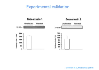 55 kDa 43 kDa
ArbitraryUnits/1000
ArbitraryUnits/10
Experimental validation
Gwinner et al., Proteomics (2013)
 