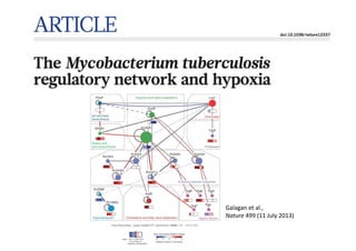 Galagan	
  et	
  al.,
Nature	
  499	
  (11	
  July	
  2013)
 