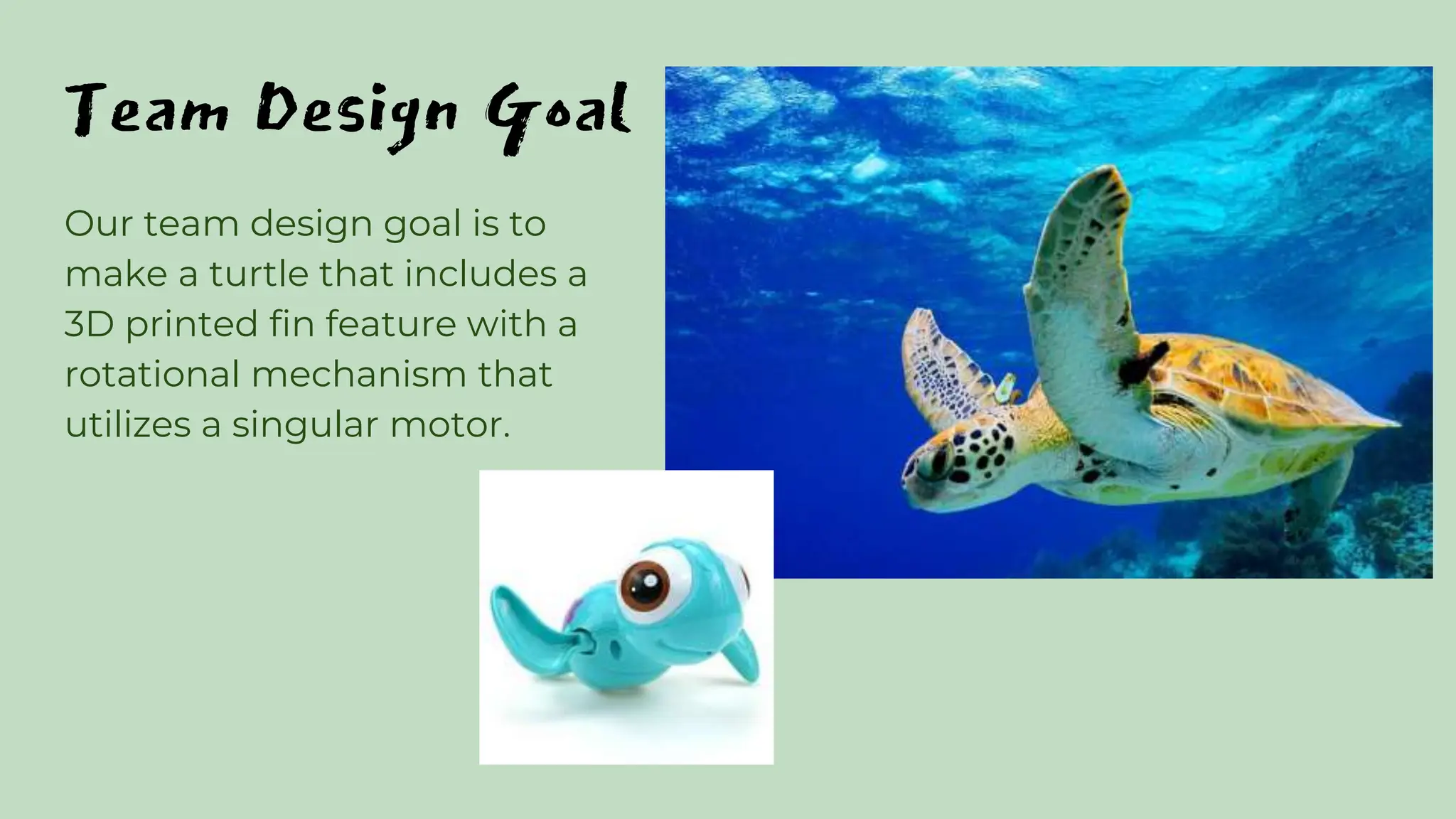Team Design Goal
Our team design goal is to
make a turtle that includes a
3D printed fin feature with a
rotational mechanism that
utilizes a singular motor.
 