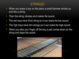STRINGS!
• When you press a key on the piano a small hammer shoots up
and hits a string.
• Then the string vibrates and makes the sound.
• The low keys have thick string so it can make the low sound.
• The high keys have thin strings so it can make the high sound.
• When you take your finger off the key a pad comes down on the
string and stops the sound.
 