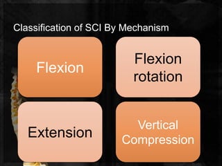 Sci Excessive Rotation spinal cord inj. | PPTX