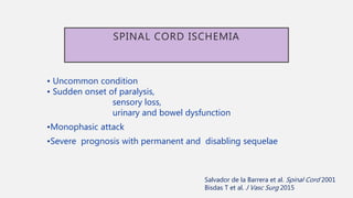 SPINAL CORD ISCHEMIA
• Uncommon condition
• Sudden onset of paralysis,
sensory loss,
urinary and bowel dysfunction
•Monophasic attack
•Severe prognosis with permanent and disabling sequelae
Salvador de la Barrera et al. Spinal Cord 2001
Bisdas T et al. J Vasc Surg 2015
 