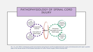 PATHOPHYSIOLOGY OF SPINAL CORD
INJURY
Etz, C. D., et al. (2015). Contemporary spinal cord protection during thoracic and thoracoabdominal aortic surgery and endovascular aortic repair: a position
paper of the vascular domain of the European Association for Cardio-Thoracic Surgery, Oxford University Press.
 