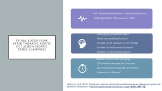SPINAL BLOOD FLOW
AFTER THORACIC AORTIC
OCCLUSION (AORTIC
CROSS CLAMPING)
AoX Proximal hypertension + intracranial pressure ↑
Autoregulation: CSF pressure ↑ SCPP ↓
Spinal cord injury hypotension
Interrupting sympathetic fibers
Direct myocardial dysfunction
Increase in CSF pressure (21-25 mmHg)
Increase in central venous pressure
Elevation in intracranial pressure
Release of aortic cross-clamping:
CSFP remains elevated for 5 minutes
CSFP returns to normal after 25 minutes
Hyperemia is observed
Uchino, G., et al. (2017). "Spinal cord protection during thoracoabdominal aortic replacement: spinal cord
perfusion maintenance." Interactive cardiovascular and thoracic surgery 24(5): 708-713.
 