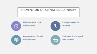 PREVENTION OF SPINAL CORD INJURY
Minimize spinal cord
ischemia time
Increase tolerance to
ischemia
Augmentation of spinal
cord perfusion
Early detection of spinal
cord ischemia
 