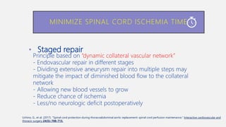 • Staged repair
Principle based on “dynamic collateral vascular network”
- Endovascular repair in different stages
- Dividing extensive aneurysm repair into multiple steps may
mitigate the impact of diminished blood flow to the collateral
network
- Allowing new blood vessels to grow
- Reduce chance of ischemia
- Less/no neurologic deficit postoperatively
MINIMIZE SPINAL CORD ISCHEMIA TIME
Uchino, G., et al. (2017). "Spinal cord protection during thoracoabdominal aortic replacement: spinal cord perfusion maintenance." Interactive cardiovascular and
thoracic surgery 24(5): 708-713.
 
