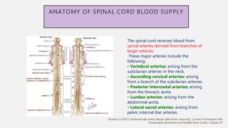 ANATOMY OF SPINAL CORD BLOOD SUPPLY
The spinal cord receives blood from
spinal arteries derived from branches of
larger arteries
These major arteries include the
following:
• Vertebral arteries: arising from the
subclavian arteries in the neck.
• Ascending cervical arteries: arising
from a branch of the subclavian arteries.
• Posterior intercostal arteries: arising
from the thoracic aorta.
• Lumbar arteries: arising from the
abdominal aorta.
• Lateral sacral arteries: arising from
pelvic internal iliac arteries.
Gustavo S.(2017). Endovascular Aortic Repair [electronic resource] : Current Techniques with
Fenestrated, Branched and Parallel Stent-Grafts. Chapter 47
 