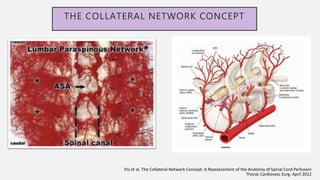 THE COLLATERAL NETWORK CONCEPT
Etz et al. The Collateral Network Concept: A Reassessment of the Anatomy of Spinal Cord Perfusion
Thorac Cardiovasc Surg. April 2012
 