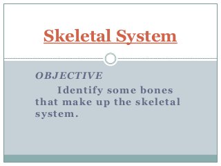 OBJECTIVE
Identify some bones
that make up the skeletal
system.
Skeletal System
 