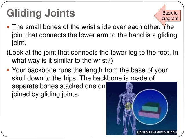 Sci 4-l-2-demonstrate how the skeletal system enables us to move