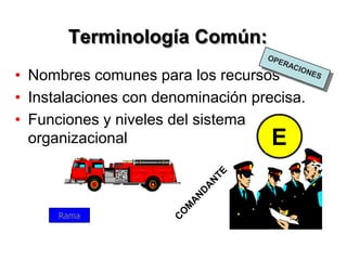 Terminología Común:
• Nombres comunes para los recursos
• Instalaciones con denominación precisa.
• Funciones y niveles del sistema
organizacional E
Rama
 