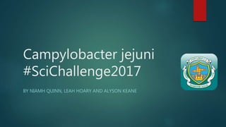 Campylobacter jejuni
#SciChallenge2017
BY NIAMH QUINN, LEAH HOARY AND ALYSON KEANE
 