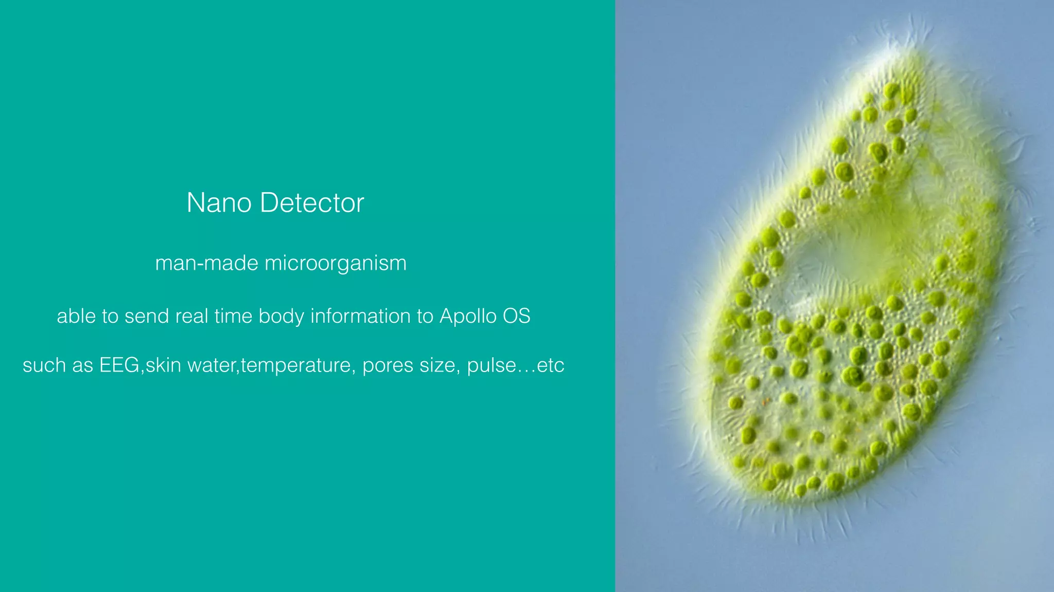 Nano Detector
man-made microorganism
able to send real time body information to Apollo OS
such as EEG,skin water,temperature, pores size, pulse…etc
 