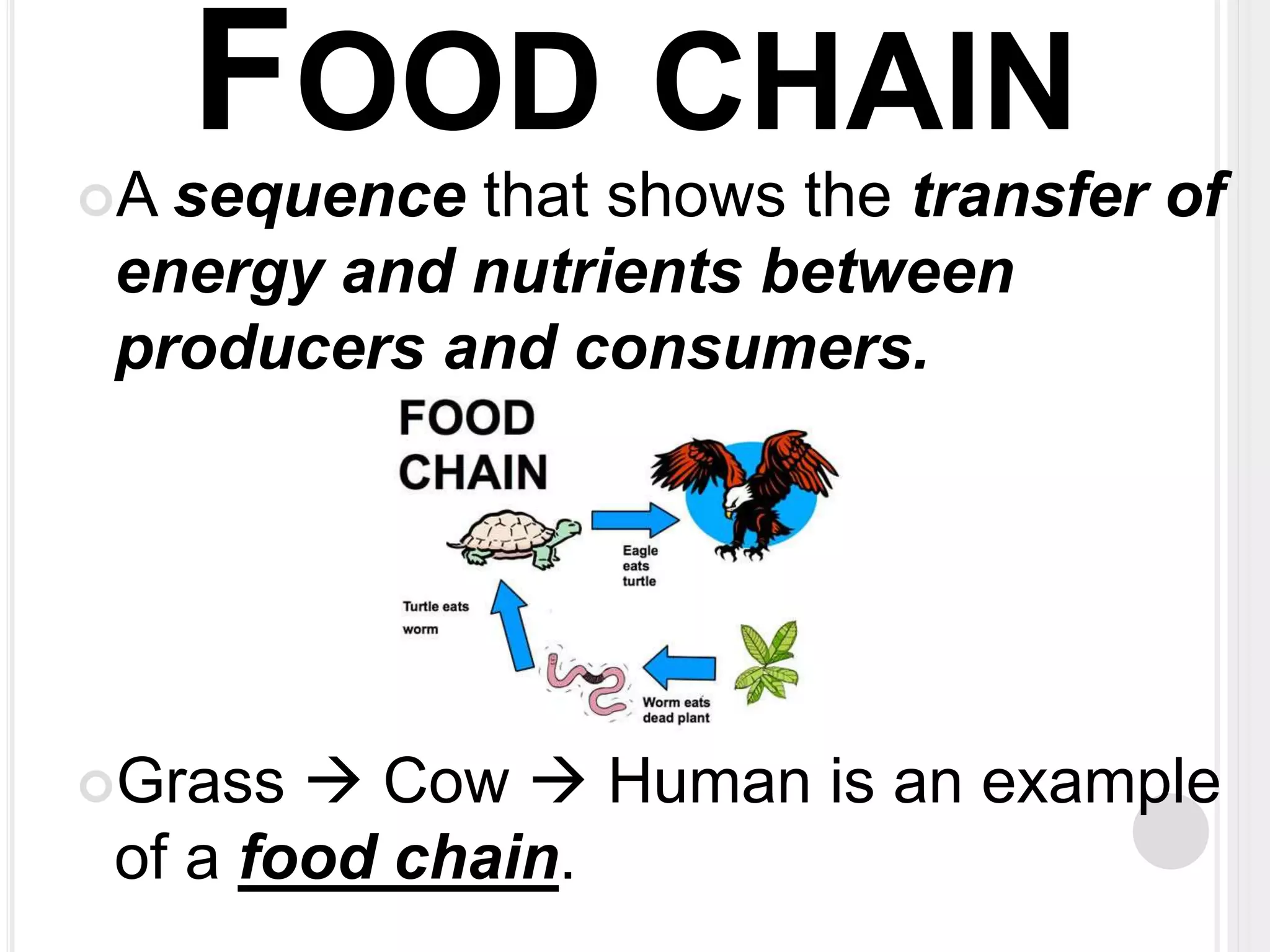 FOOD CHAIN 
A sequence that shows the transfer of 
energy and nutrients between 
producers and consumers. 
Grass  Cow  Human is an example 
of a food chain. 
 