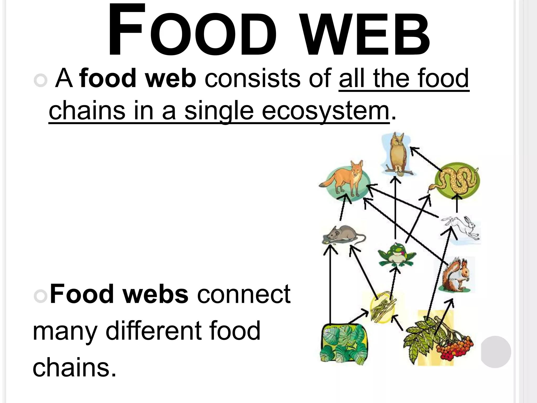 FOOD WEB 
 A food web consists of all the food 
chains in a single ecosystem. 
Food webs connect 
many different food 
chains. 
 