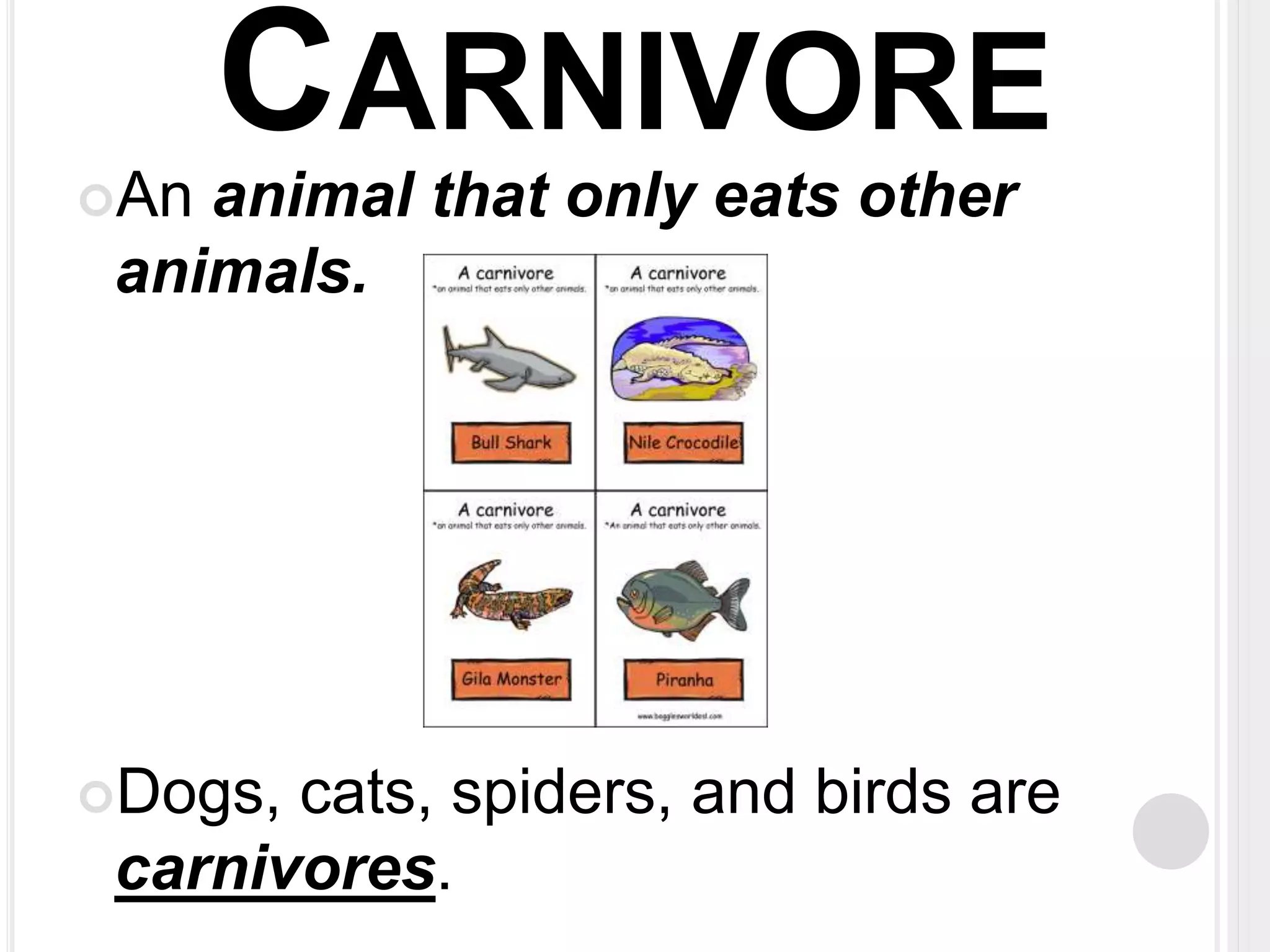 CARNIVORE 
An animal that only eats other 
animals. 
Dogs, cats, spiders, and birds are 
carnivores. 
 